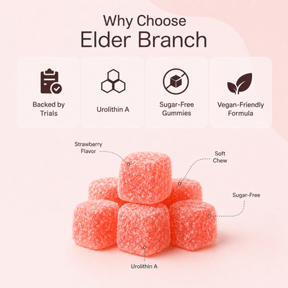 Elder Branch